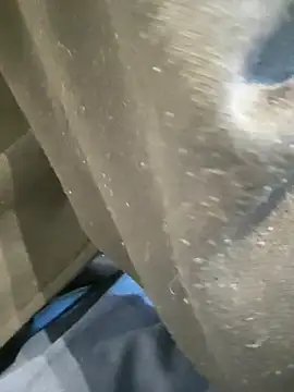 boy8540 online show from February 7, 2026, 8:40 am