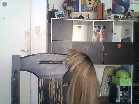 Snapshot of Bebita-zmp chatting on May 21, 2026, 4:03 pm Bebita-zmp online show from May 21, 2026, 4:03 pm