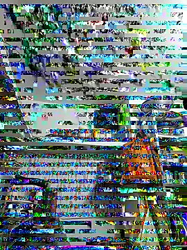 ISHANI-SINGH online show from November 29, 2025, 3:37 pm