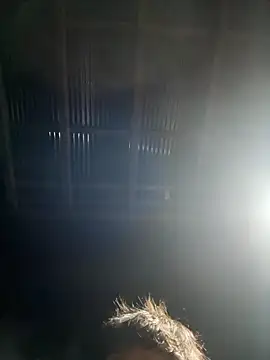 usu0130 online show from October 16, 2025, 2:07 pm