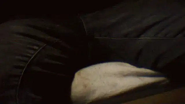 pietje1991 online show from March 25, 2026, 10:27 pm