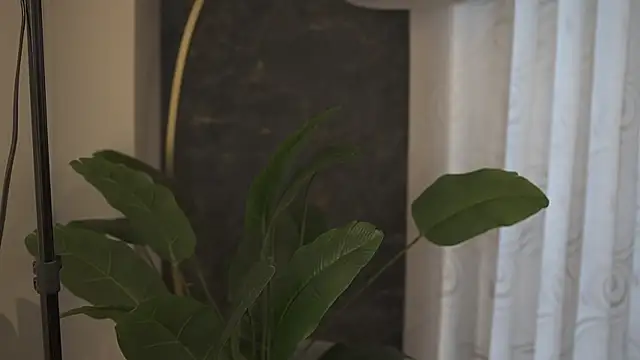 Ariaa Isabell online show from September 11, 2025, 6:30 pm