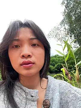 Phayphay77 online show from November 3, 2025, 8:37 am