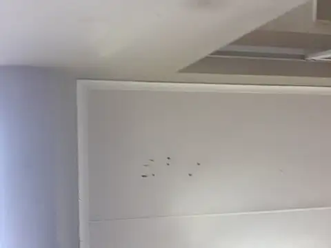 sex-machanic online show from November 28, 2025, 3:31 am