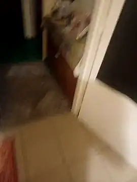 PavloBok online show from February 5, 2026, 4:33 pm