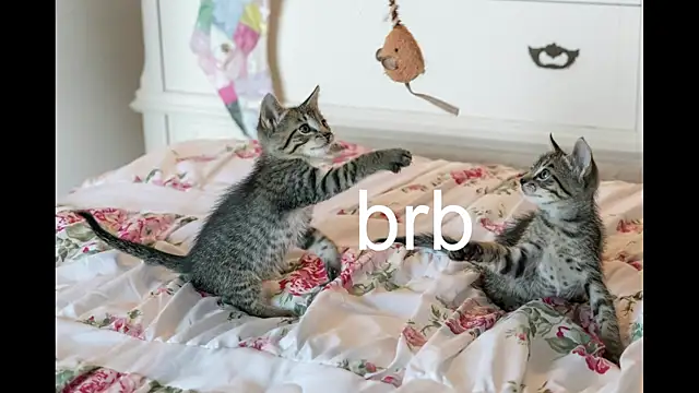 Pink girl0n online show from September 24, 2025, 2:42 pm