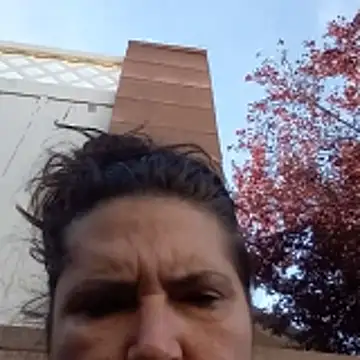 petalsexy online show from November 26, 2025, 4:41 pm