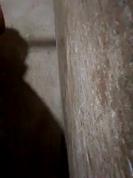 Lujor online show from March 25, 2026, 3:45 am