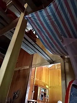 Bibilenu online show from November 15, 2025, 6:33 am