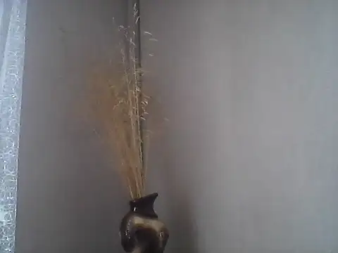 Snapshot of Littlecatme chatting on July 21, 2026, 7:32 am Littlecatme online show from July 21, 2026, 7:32 am