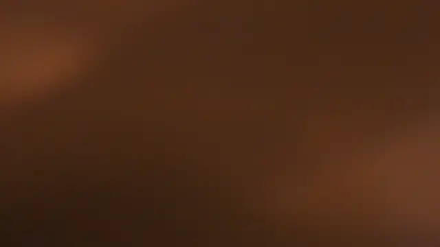 WILD FIREE  online show from October 12, 2025, 8:19 pm