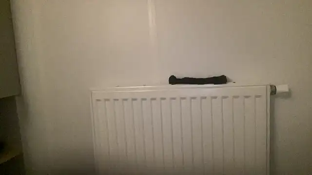 peterpapiNL online show from January 13, 2026, 4:34 pm