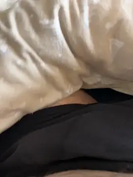 K13XXXX online show from February 21, 2026, 10:49 am