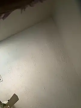 honestlychina online show from October 3, 2025, 1:52 pm