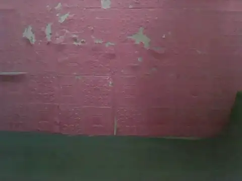 violen786 online show from October 23, 2025, 5:18 am