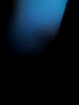 Snapshot of Mancho2289 chatting on April 13, 2026, 4:40 am Mancho2289 online show from April 13, 2026, 4:40 am