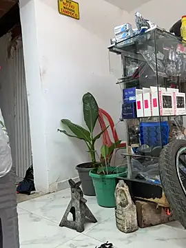 Terra-22cm online show from April 19, 2026, 6:10 pm