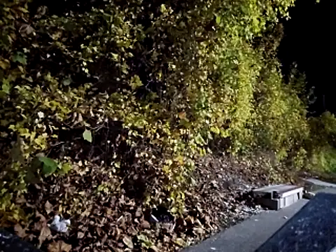 Snapshot of sloppytopkins chatting on November 6, 2025, 8:15 am sloppytopkins online show from November 6, 2025, 8:15 am