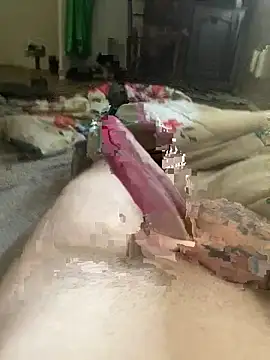 lsksokswjwjbshsjshs online show from March 14, 2026, 9:42 pm