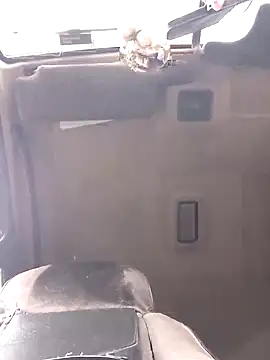 N i k o l a u online show from April 28, 2026, 12:43 pm