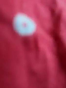 sana-5 online show from February 16, 2026, 10:22 am