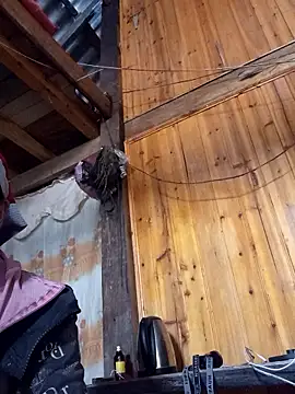 TinTin321 online show from November 26, 2025, 5:41 am