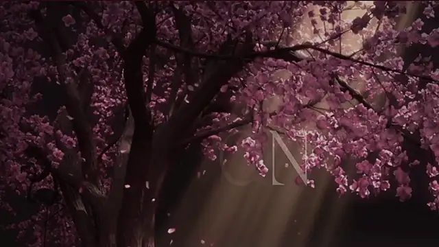 EdenArcadia online show from May 20, 2026, 6:52 am