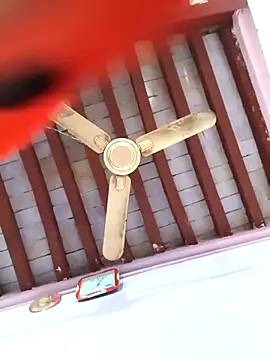 Snapshot of Love-pari077 chatting on February 5, 2026, 2:33 pm Love-pari077 online show from February 5, 2026, 2:33 pm