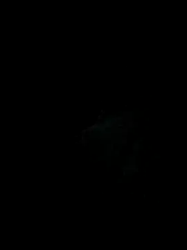 Snapshot of Goalsmoments2 chatting on March 8, 2026, 5:55 am Goalsmoments2 online show from March 8, 2026, 5:55 am