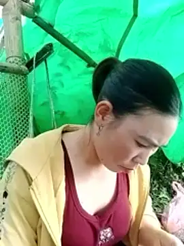 cicnci online show from November 5, 2025, 1:38 am