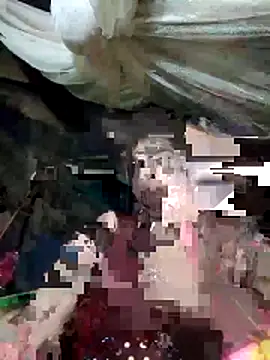 cicnci online show from November 8, 2025, 10:26 am