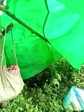 cicnci online show from November 9, 2025, 2:32 am