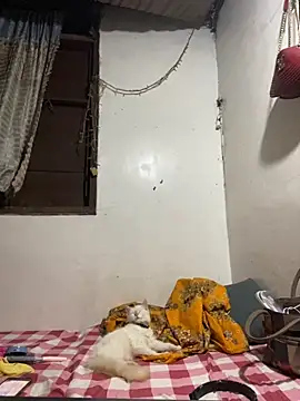 HugeRosalindaGoddess online show from December 4, 2025, 3:32 pm