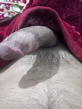 Abodi12aa77 online show from October 5, 2025, 11:46 pm