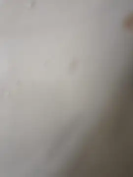 Gusttavotesudoxxvvc online show from October 22, 2025, 5:08 am