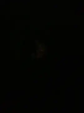 amitsharma7868 online show from April 20, 2026, 4:10 pm