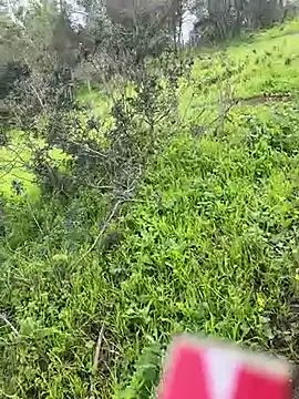 Yasar-Xxxl online show from March 6, 2026, 3:52 pm