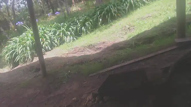 habdiela online show from April 19, 2026, 4:06 pm