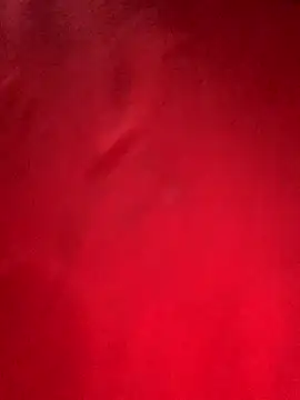 misharani00 online show from October 2, 2025, 1:23 am