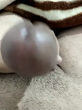 Zepe 12 online show from December 15, 2025, 11:25 am