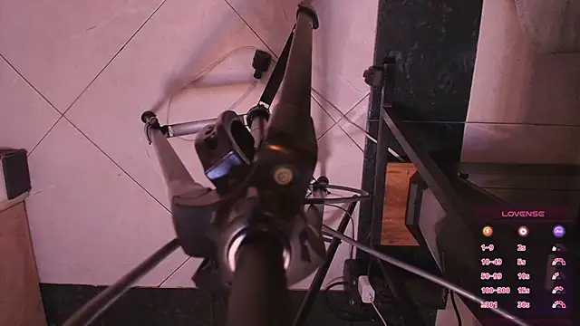 Terraelowen online show from November 4, 2025, 11:20 am