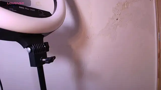 Terraelowen online show from November 29, 2025, 11:35 am