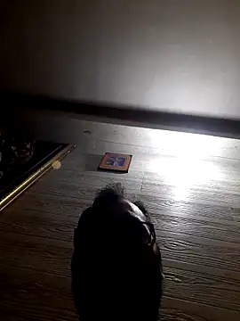 Snapshot of Hot-boy077 chatting on February 4, 2026, 4:13 pm Hot-boy077 online show from February 4, 2026, 4:13 pm