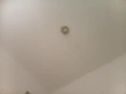 flavinhasensual online show from April 18, 2026, 7:51 pm