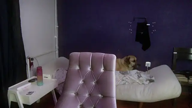 turkishTransEfsun online show from October 2, 2025, 3:35 am