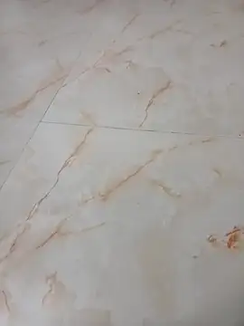 Samantaapu online show from November 16, 2025, 2:00 pm