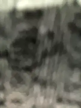 caroline  muller online show from October 14, 2025, 10:49 am