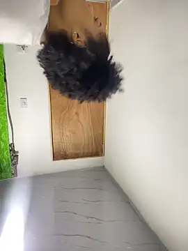 delaylacruz online show from November 26, 2025, 11:28 pm