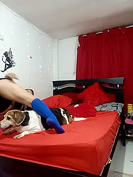 Lady 16 online show from February 13, 2026, 4:30 am