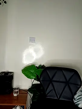 Nedambale online show from April 10, 2026, 7:29 pm